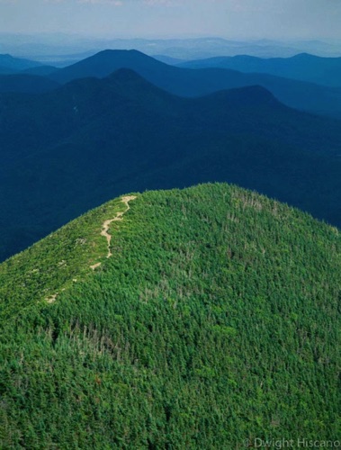 Signal Ridge Trail, White Mountain National Forest, NH (MF).jpg Signal Ridge Trail, White Mountain National Forest, NH (MF).jpg